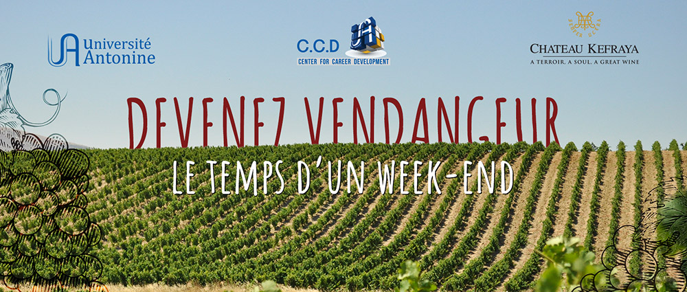 Experience a Grape Harvest with CCD