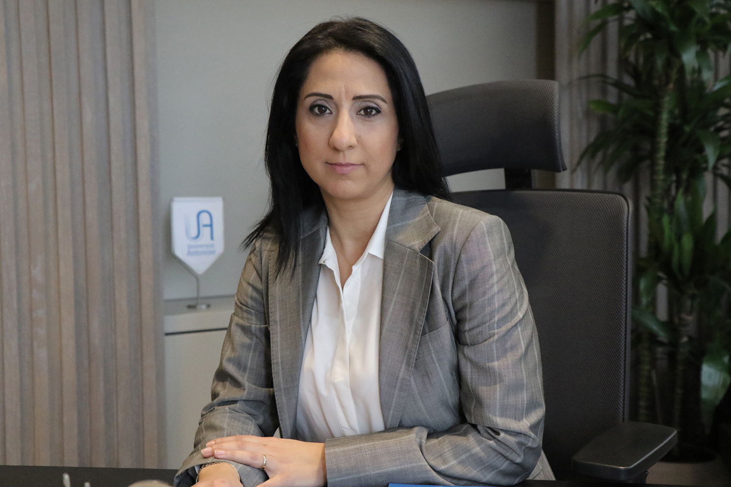 Appointment of Dr. Elizabeth Sfeir as Faculty Representative at the UA Council