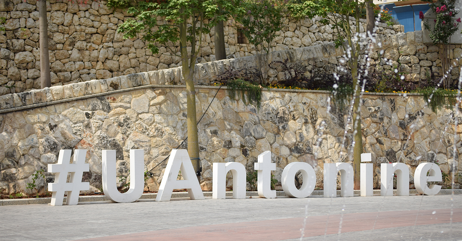 Student Delegation and Involvement