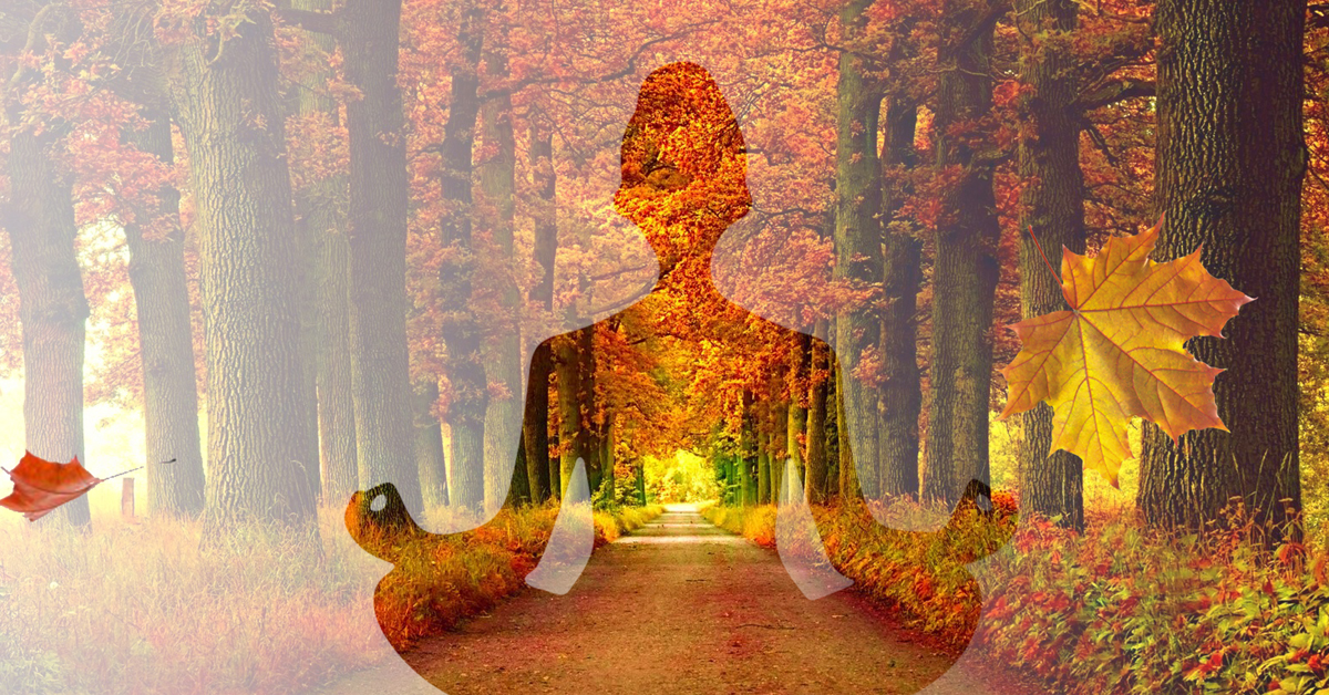 Sports and Well-being | Back Health and Posture: Between Sitting Positions and Common Posture Mistakes