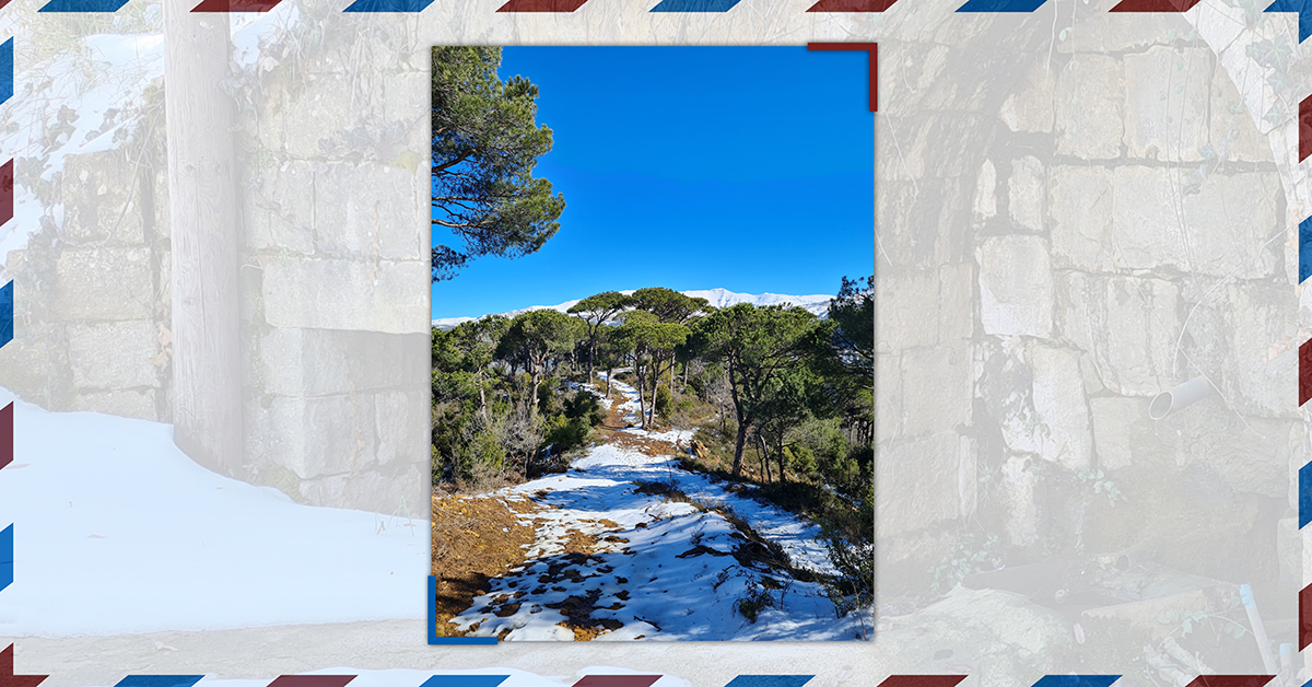 Hiking Trip | Dhour El Choueir