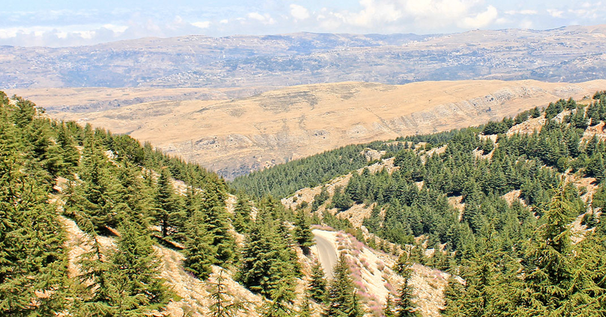 Randonnée à la Réserve de biosphère de Chouf 