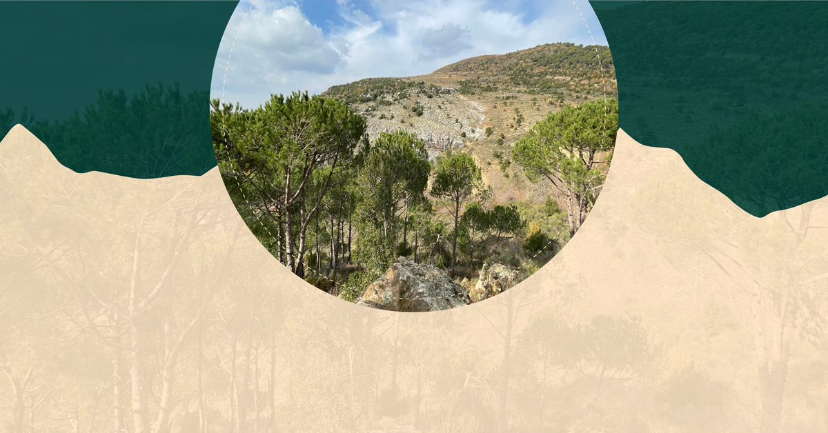 Randonnée à Baskinta 