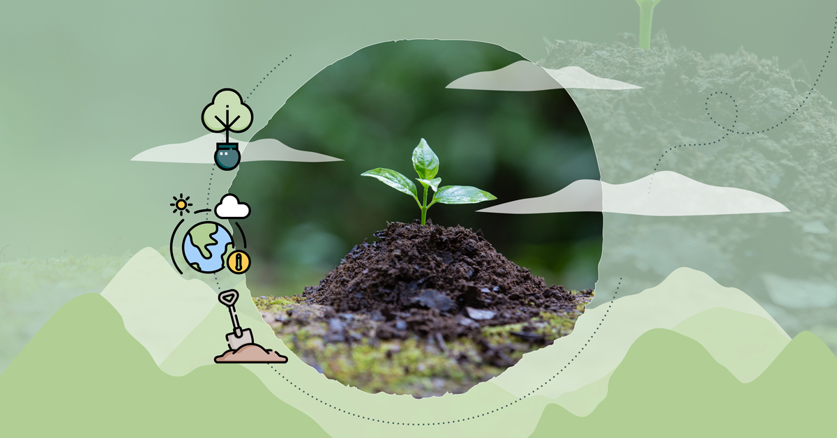 Reforestation: Join the Movement for a Greener Campus