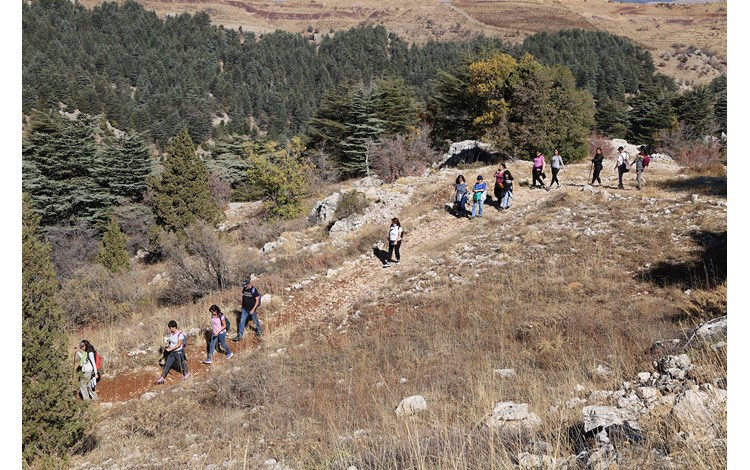 /Gallery/EnglishWebsite/News/HikingStaff/ua-hiking-staff-12.jpg