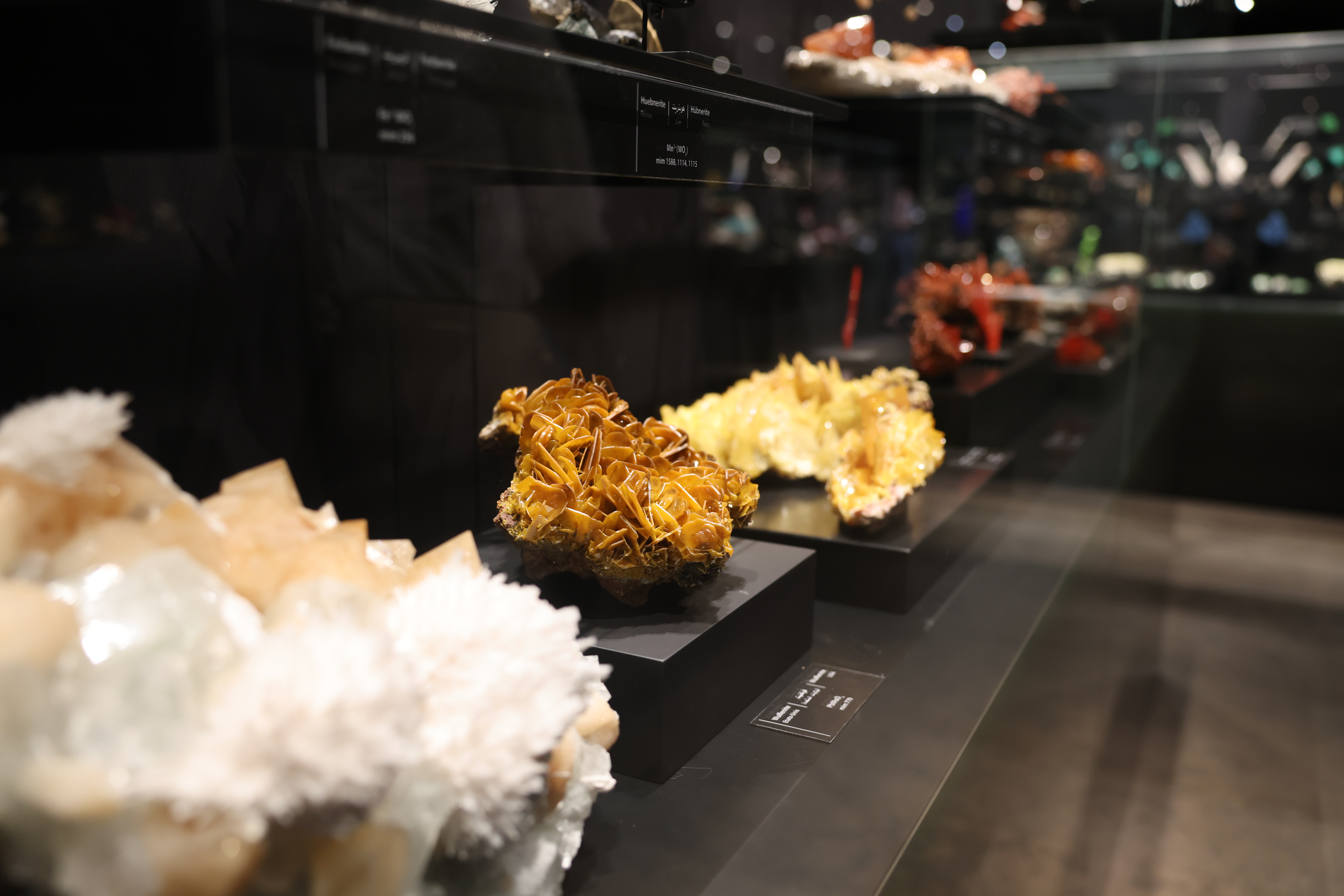 /Gallery/EnglishWebsite/News/UAStudentsExploretheMIMMineralMuseum/12.JPG